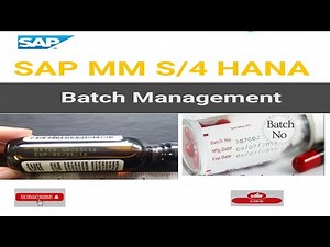 Batch Management in SAP S4 HANA #sap #saps4hana