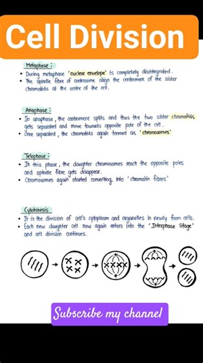 #Cell Division #Type of Cells Division #Shortfeed #Subscribe my channel