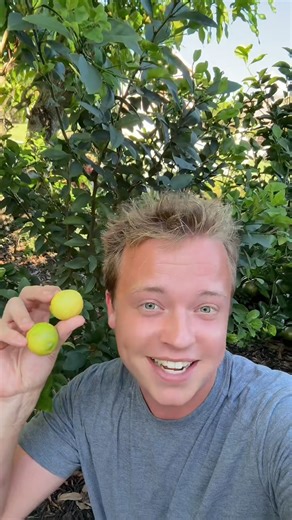 22K views · 7.6K reactions | Homemade Key-lime Pie ‍ Recipe: Key...