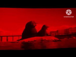 (FAKE) Finding Dory (2016) Lost Director's Cut Credits My Version (JUMPSCARE WARNING ⚠️🚨)