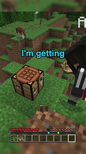 Minecraft but Inventory is SHARED