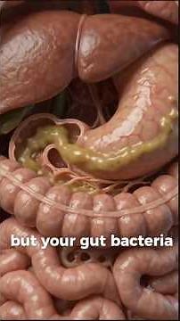 What happen inside your body when you fart ? | 3D video animation | #fart #healtheducation