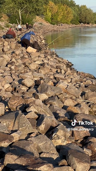 Polycarp на TikTok