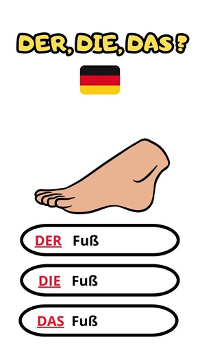 Der,Die,Das? #deutschlernen🇩🇪 #lernedeutsch #deutschland #deutsch #deutschlernen