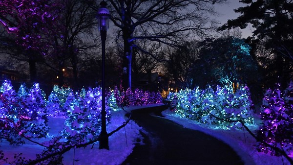 Missouri Botanical Garden's Garden Glow nominated for best holiday light display in the US. Here's how you can vote