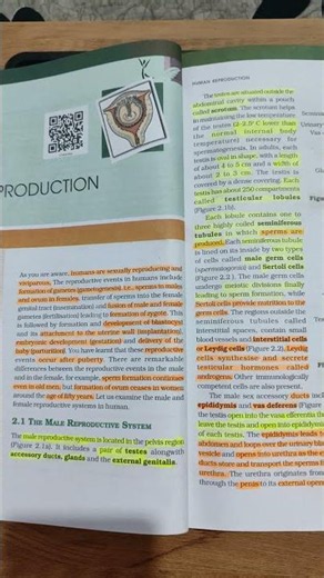 NCERT Class 12 Biology: Human Reproduction Notes! ✏️Part 1🧠 #Shorts 📚 #NEET