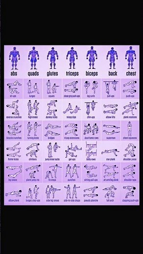 Ultimate Full Body Workout Chart – Home Exercises for Abs, Chest, Back, Biceps & More!