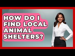 How Do I Find Local Animal Shelters? - The Midwest Guru