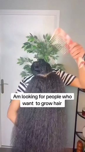 3.6K views · 6.4K reactions | RAPID HAIR GROWTH #hairgoals #chebe #chebepowder #chebepowderinnigeria #chebebutter | Ladyz Choice | Facebook