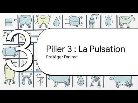 Fonctionnement de la Machine à Traire