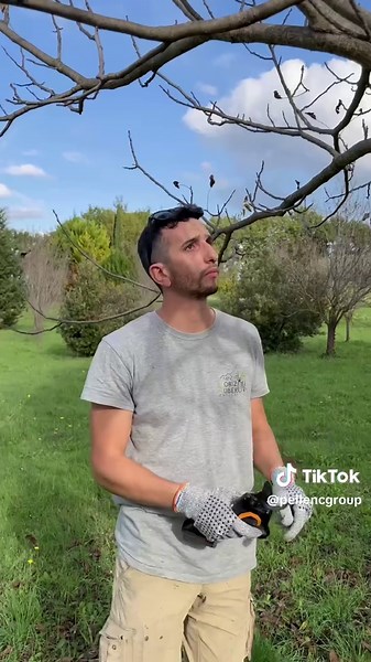 Sécateur C3X : L'outil parfait pour les pros !