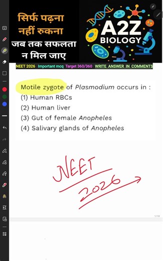 neet 2026