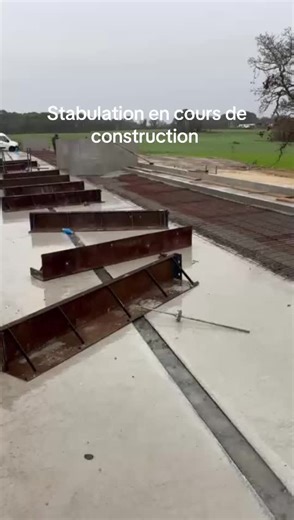 Vidéos de kuskilhos (@kuskilhos) avec Chacun sa route - KOD