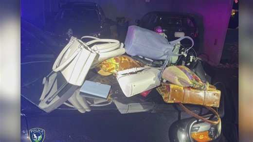 Drunk man who stole 22 purses from Tigard store arrested after brief chase: officials