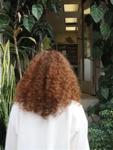 Meet Leah Dunmire, a junior biology major researching mastodon fossils. This is why Biology is one of the top five majors at Bethany College — real labs, mentors who care, & chances to lead.