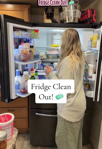 Fridge Clean Out: Small Fridge Organization Tips