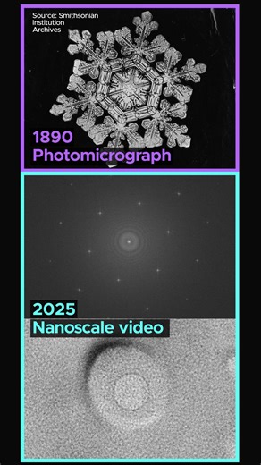 1.4K views · 11 reactions |  Watch how the same nanoscale forces...