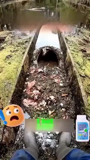 🌸 ACHETEZ 3 OBТENEZ 2 GRATUIT! 🌸 DÉBOUCHEUR MULTI-USAGES 🚰✨ Libérez vos canalisations en un éclair ! ⚡ ACTION EXPRESS – Dégagement visible en 30 secondes 🌪️ FORMULE GEL PÉNÉTRANT – Adhère aux bouchons pour une dissolution complète 🛡️ SANS DANGER POUR LES TUYAUX – Convient à tous types de canalisations 🌿 EFFICACITÉ MULTI-USAGE – Élimine cheveux, savon, résidus alimentaires 🧼 SANS CHLORE NI CORROSIF – Respecte l'environnement et la peau 🎁 OFFRE EXCEPTIONNELLE : 5 POUR 3 ! Stockez malin, éc