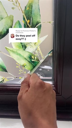 Easy Removal Privacy Window Film Stickers | Dizzy Duck Designs