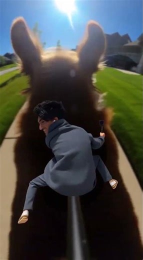 Tiny Human Rides Giant Dog