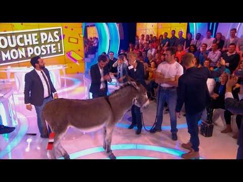 La Folle Histoire de TPMP