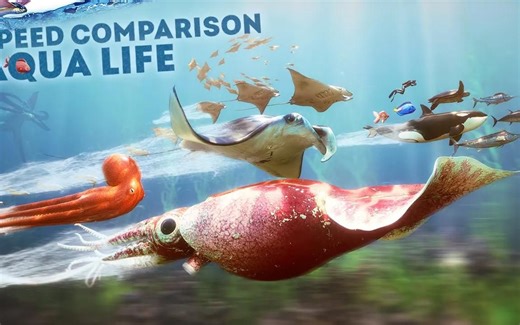 水生动物速度比拼 SPEED COMPARISON 3D Aqua Life