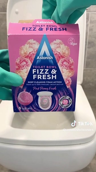 Top Astonish Bathroom Cleaning Products You Should Try