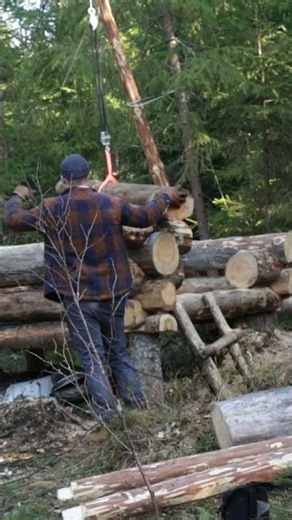 Off Grid Log Cabin Build Using DIY Gin Pole Hoist #cabinadventure #bushcraft #diy #forestlife