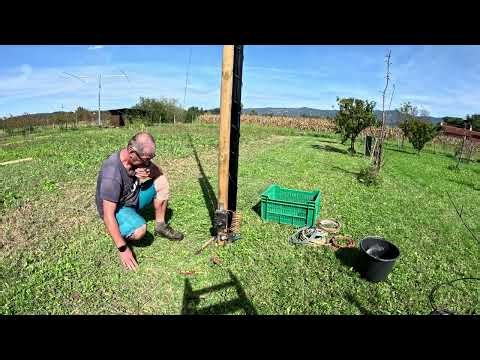 80m Phased Vertical Array S53X