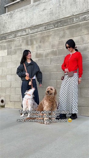 The best feeling when you both make friends SHOPSUNNYTAILS.COM