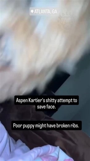 @pawsitivepawsrescues on Instagram: "@hallieforanimals PLEASE SEND THE ONE-CLICK EMAIL IN MY LINKTREE TO ATLANTA AUTHORITIES TITLED “ARREST ASPEN KARTIER”❗️ Call: Atlanta Police Department: +1 404 546 6900 Fulton County Animal Services: +1 404 613 0358 Option 2 Fulton County Police Animal Services Unit: +1 470 312 3090 Abuser Name: Aspen Kartier (Apen Easterling) Location: Atlanta, Georgia Chicago born, Atlanta based Ex-Twitch streamer and questionable “rapper” Aspen Kartier seems to think it’s