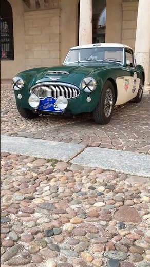 1961 AUSTIN-HEALEY 3000 MK II #shorts #short #austinhealey #austin #healey #3000 #mkii #roadster