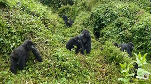 160K views · 6.3K reactions | WOW. What. A. Day. 轢 轢 轢 轢 On October...