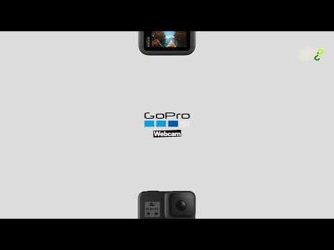 Why Not Project X You Got This Rabarba