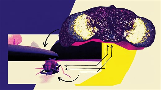 Startup claims first full brain emulation of a fruit fly in a simulated body