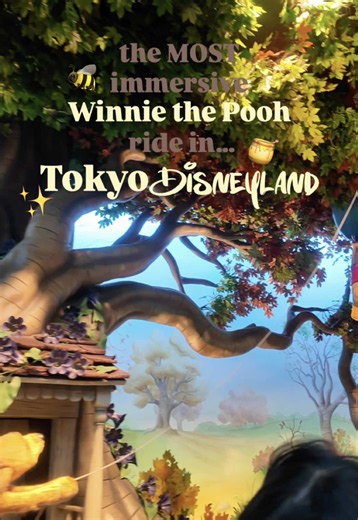 Pooh’s Honey Hunt: The Best Pooh Ride in All Disney Parks?