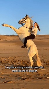 Parce que vouloir tout contrôler, c’est passer à côté de l’essentiel. 🍀 Les chevaux ne suivent jamais nos plans, ils nous apprennent l’adaptation, l’écoute et la remise en question. C’est là que naît l’équilibre, dans ce subtil mélange entre confiance et lâcher-prise. ✨ @cheval__essaouira #mindset #equilibre #lacherprise #liberte | Capucine Bauchet