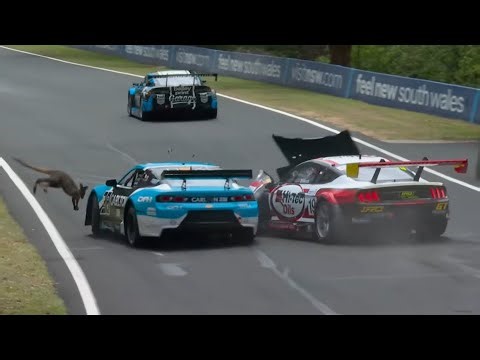 Crash into Poor Kangaroo | Combined Sedans 2026 | Bathurst Qualifying