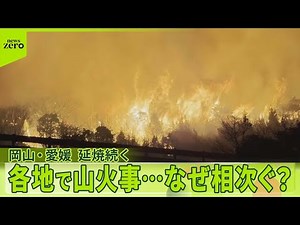 【延焼続く】岡山・愛媛で山火事 なぜ相次ぐ？