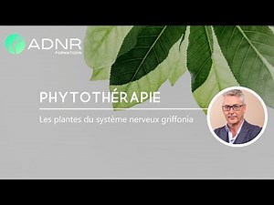 PHYTOTHÉRAPIE - Les plantes du système nerveux griffonia - ADNR Formations