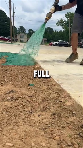 Olaf's Cute Adventures at Disneyland Paris