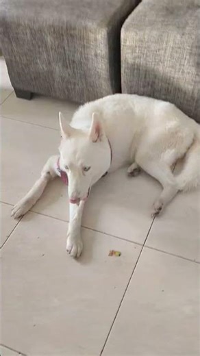 28 de febrero de 2026