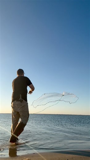 Smoked them! #castnet #mullet #livebaitfishing #beach #nature | Catching Dinosaurs Guide Service