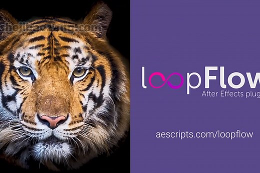 中文汉化AE插件-loopFlow v1.2动感影像人物风景图片转三维局部循环流动循环动画效果特效Win/Mac 使用教程 – 设计宝藏