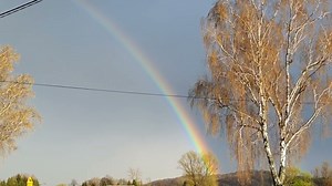 287. Kociołek Złota Na Końcu Tęczy
