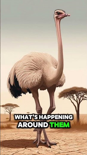 ANIMALS WITH THE MOST UNIQUE ABILITIES #facts #animalfacts #8knaturefilm #8kwildlife #wildlife