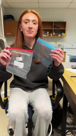 Let’s try folding plastic baggies! I’ve been trying to save my budget, so I have been foregoing zippered bags! It has been so funny to me watching my students try to close a baggie without a ziplock, so I had to video them and share! #cookingwithmsfish #bakingwithmsfish #lifeskills #familyandconsumersciences #facsteacher #luckyteacher #proudteacher #foryoupage #foryou #fyp #ziplock #baggies 😂🐠