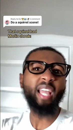 🤠🆒 🧙🏼 squirrel scene sword in the stone