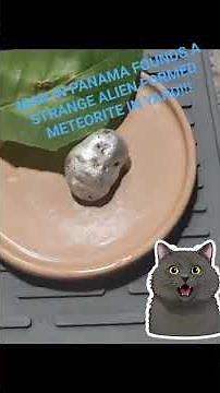 in Panama man fines strange meteorite in his backyard it kills vegetation and what looks like venom