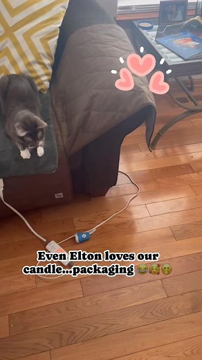 Not sure what to do with your brown paper packages tied up with string? Elton the cat thinks the string makes for a fun day! 🥰. Thank you for sharing Jenny Greathouse. We’re so happy you AND Elton love our merch! | Raindrops On Roses Candles